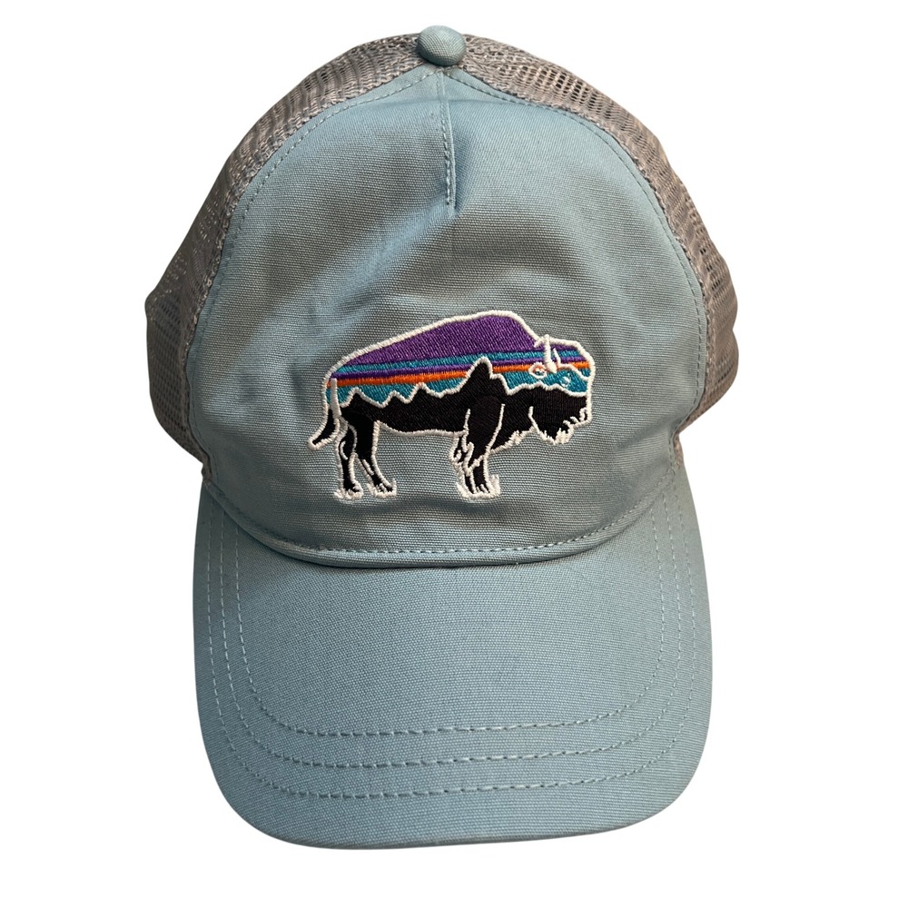 Patagonia Fitz Roy Bisonโ Buffalo Blue Cotton/Gray Mesh Snapback Trucker Hat